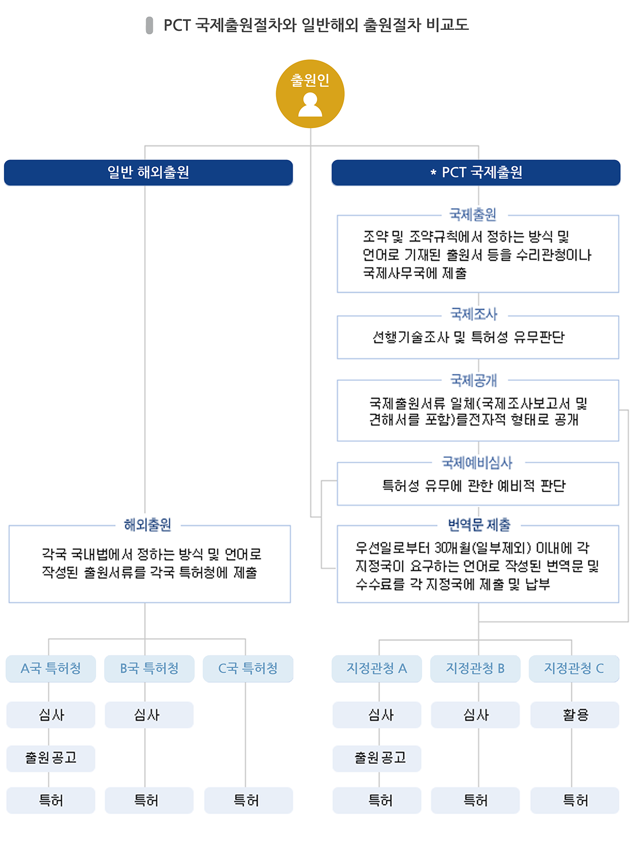 PCT_diagram-01