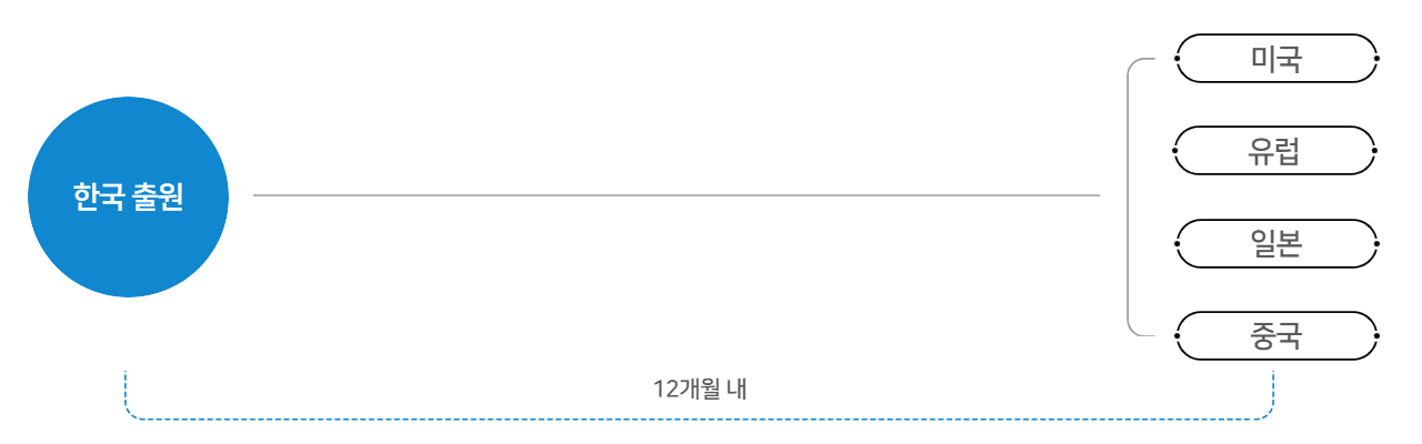 국제특허_개별출원