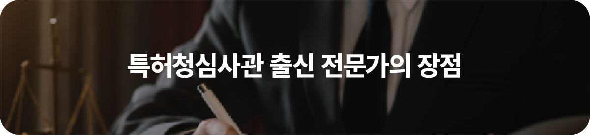 특허청심사관