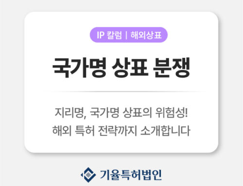 국가명 상표 분쟁 사례 : Iceland 판결로 본 해외 브랜딩 리스크와 한국 기업의 대처법