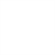 전문성과 완성도