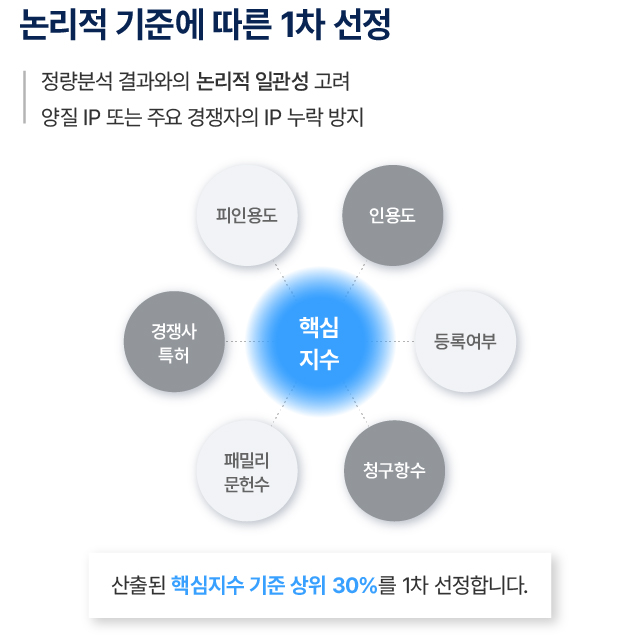 IP-RD 컨설팅-3 논리적 기준에 따른 1차 선정