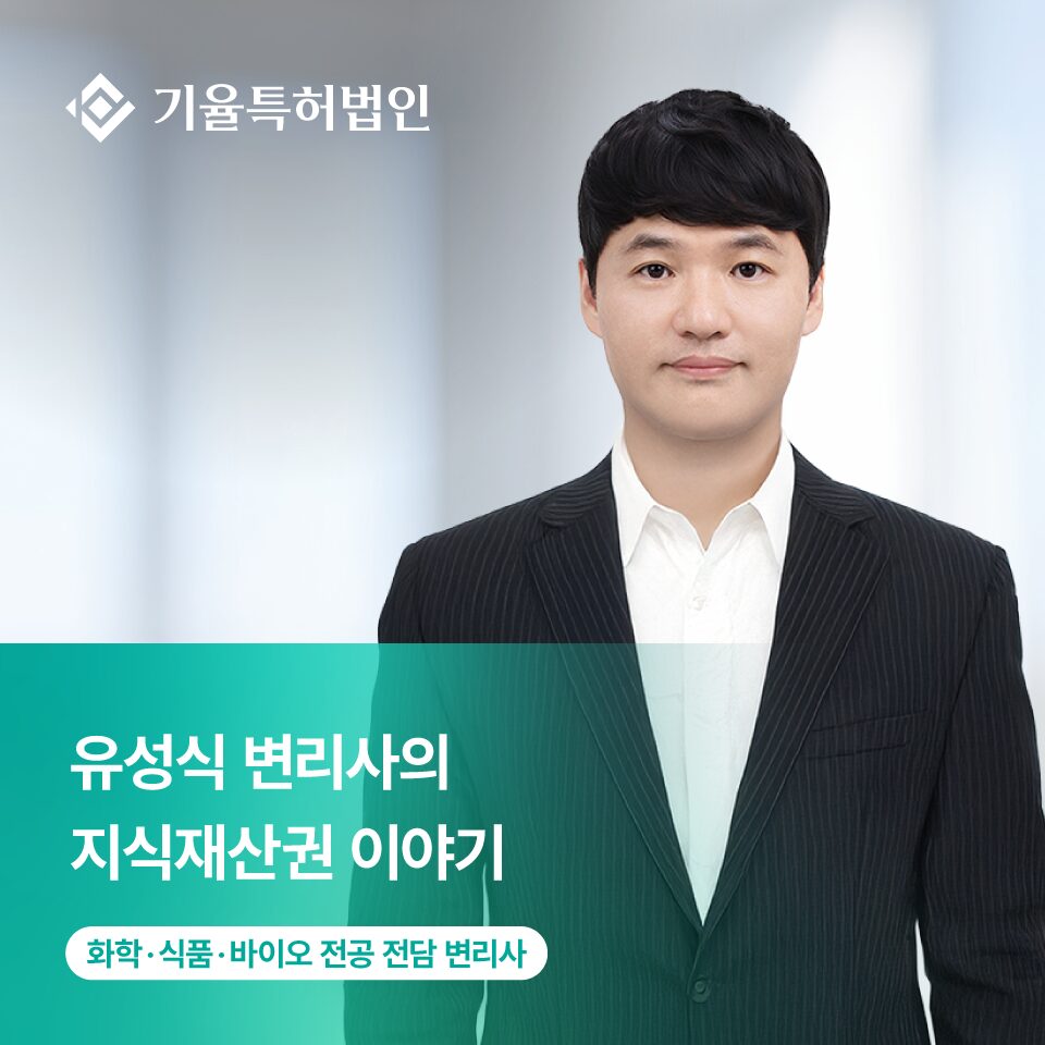 특허정보검색사이트 KIPRIS 사용법 | 무료 특허 검색 & 선행기술 조사 가이드 – 기율특허법인과 함께해요