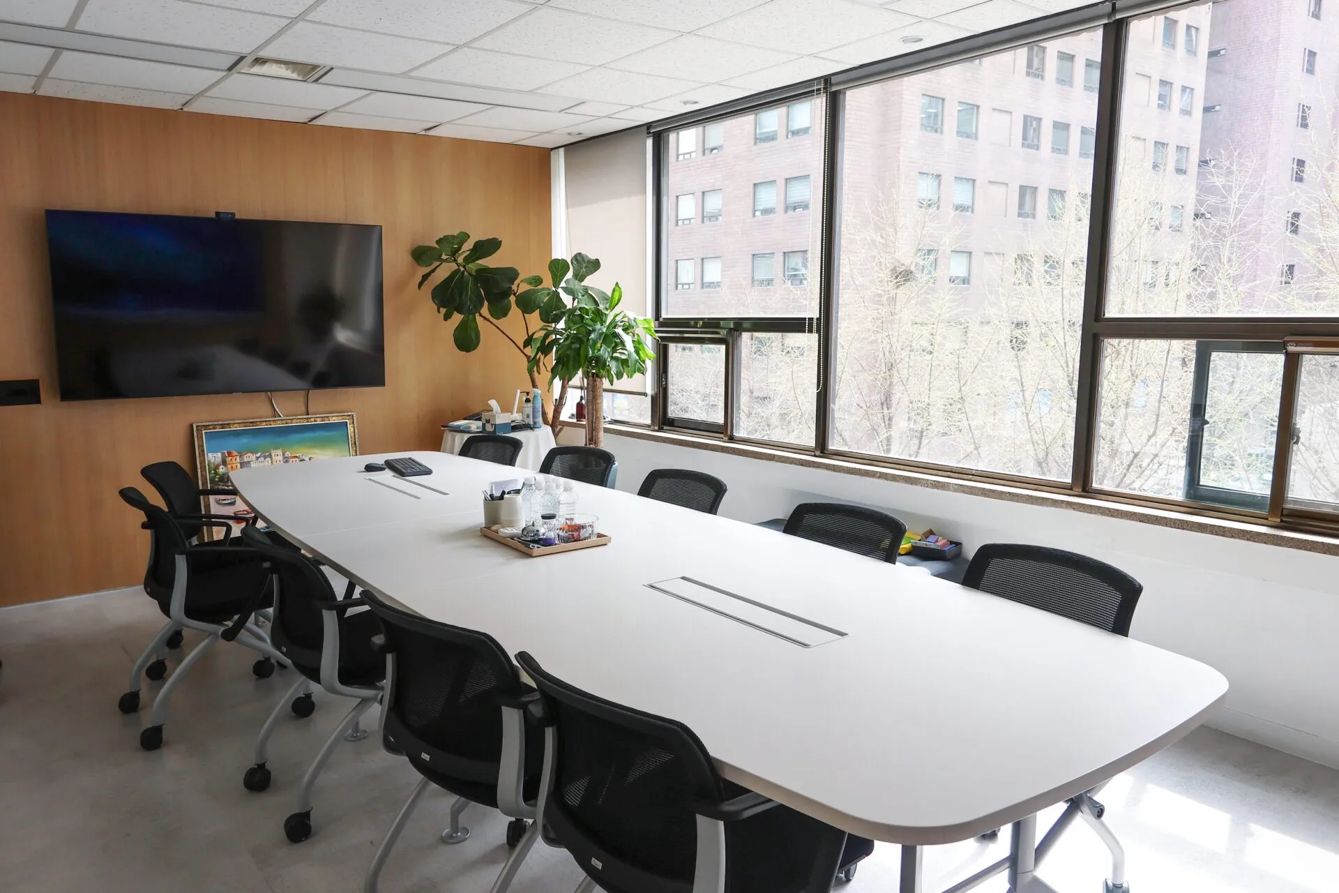 Conference room with a long white table, black mesh chairs, large windows, a tall plant, and a mounted flat-screen TV on wood-paneled wall.