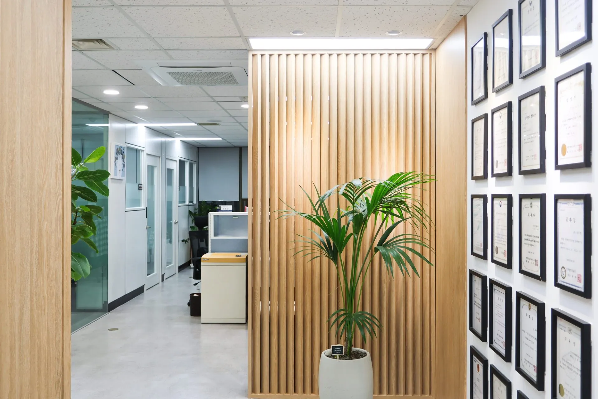 Office hallway with a vertical wooden slat divider, a potted plant, and framed certificates along the wall on the right.